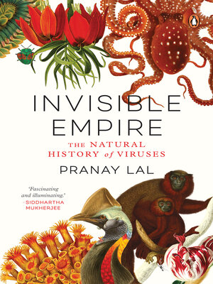 cover image of Invisible Empire
